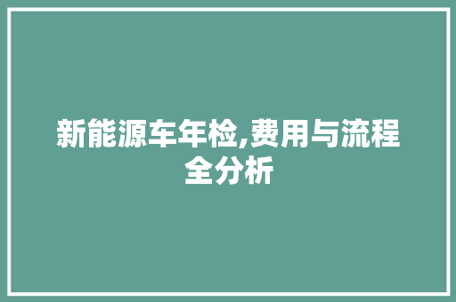 新能源车年检,费用与流程全分析