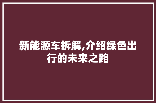 新能源车拆解,介绍绿色出行的未来之路  第1张