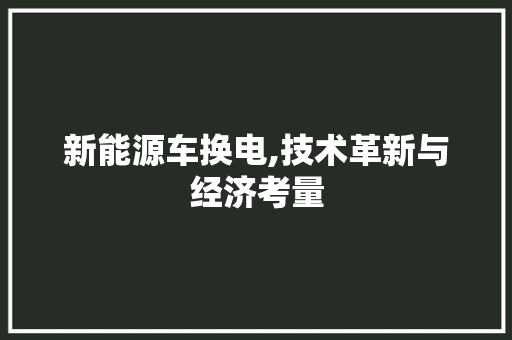 新能源车换电,技术革新与经济考量