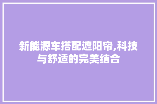 新能源车搭配遮阳帘,科技与舒适的完美结合  第1张