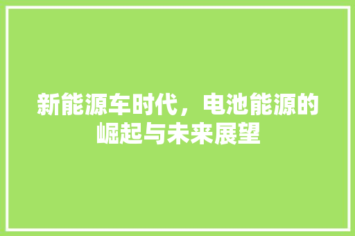 新能源车时代，电池能源的崛起与未来展望