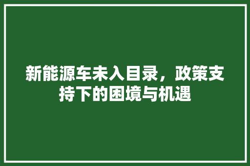 新能源车未入目录，政策支持下的困境与机遇