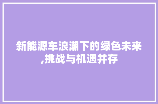 新能源车浪潮下的绿色未来,挑战与机遇并存