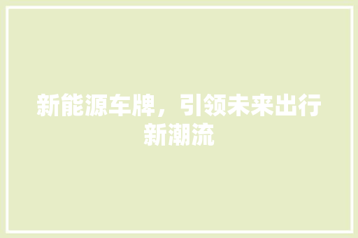 新能源车牌，引领未来出行新潮流  第1张