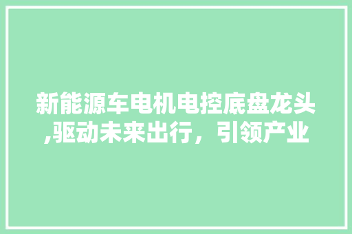 新能源车电机电控底盘龙头,驱动未来出行，引领产业变革