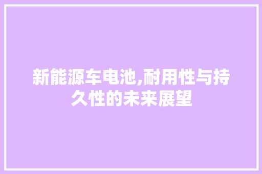 新能源车电池,耐用性与持久性的未来展望