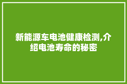 新能源车电池健康检测,介绍电池寿命的秘密  第1张