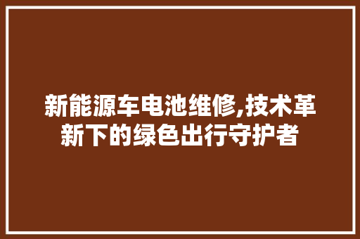 新能源车电池维修,技术革新下的绿色出行守护者