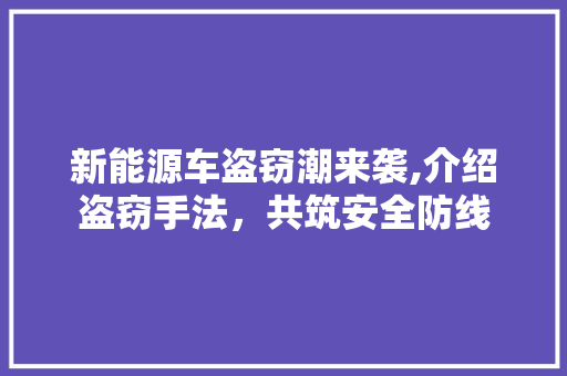 新能源车盗窃潮来袭,介绍盗窃手法，共筑安全防线