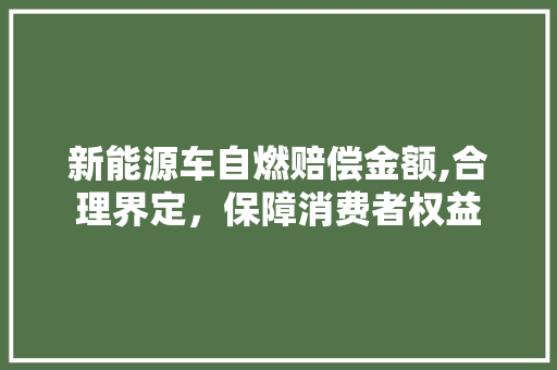 新能源车自燃赔偿金额,合理界定，保障消费者权益