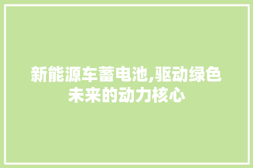 新能源车蓄电池,驱动绿色未来的动力核心