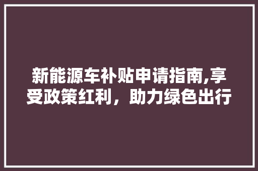 新能源车补贴申请指南,享受政策红利，助力绿色出行