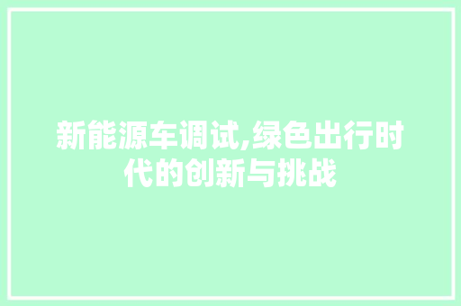 新能源车调试,绿色出行时代的创新与挑战