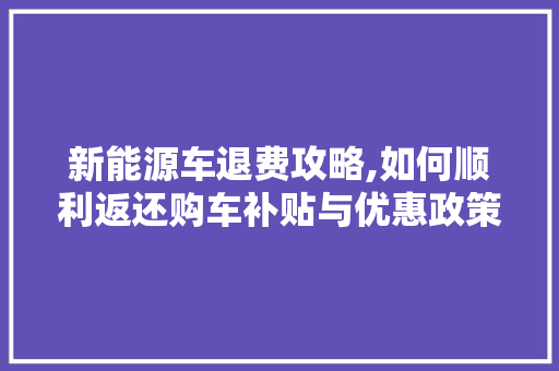 新能源车退费攻略,如何顺利返还购车补贴与优惠政策