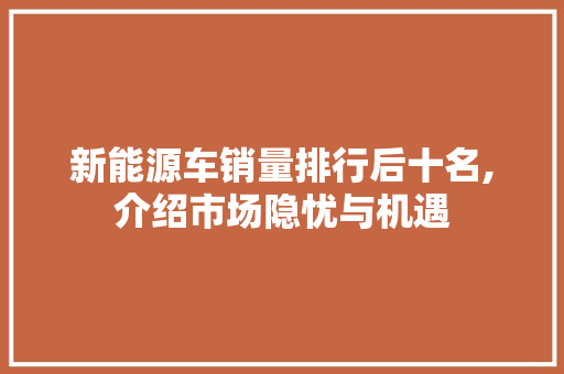 新能源车销量排行后十名,介绍市场隐忧与机遇  第1张