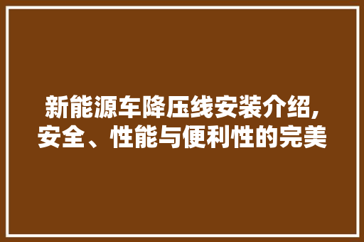 新能源车降压线安装介绍,安全、性能与便利性的完美融合
