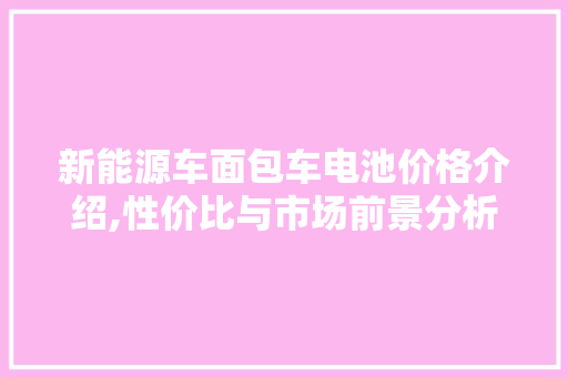新能源车面包车电池价格介绍,性价比与市场前景分析