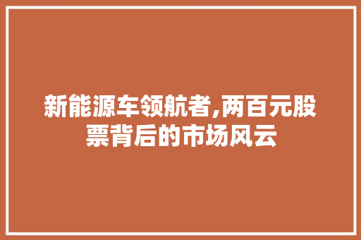 新能源车领航者,两百元股票背后的市场风云