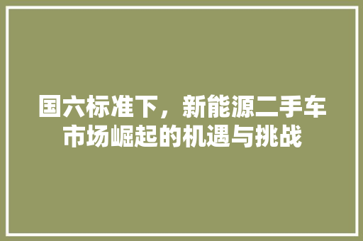 国六标准下，新能源二手车市场崛起的机遇与挑战