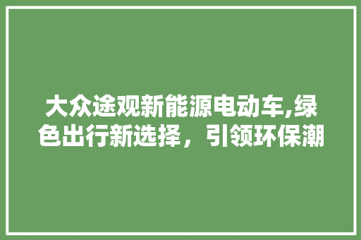 大众途观新能源电动车,绿色出行新选择，引领环保潮流