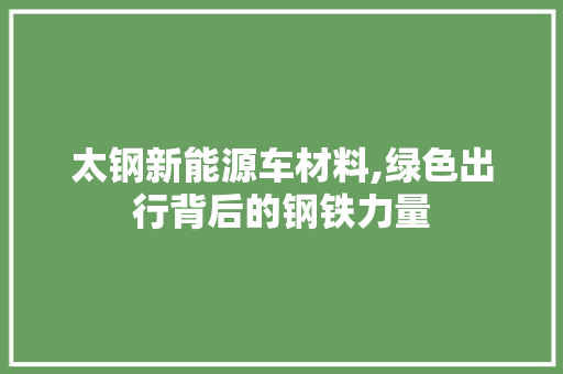 太钢新能源车材料,绿色出行背后的钢铁力量