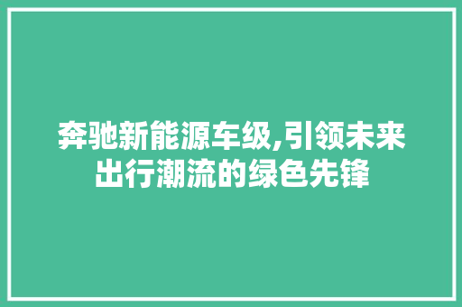奔驰新能源车级,引领未来出行潮流的绿色先锋