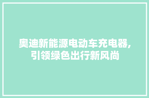 奥迪新能源电动车充电器,引领绿色出行新风尚