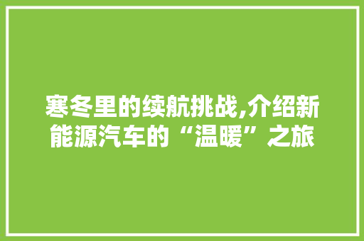 寒冬里的续航挑战,介绍新能源汽车的“温暖”之旅
