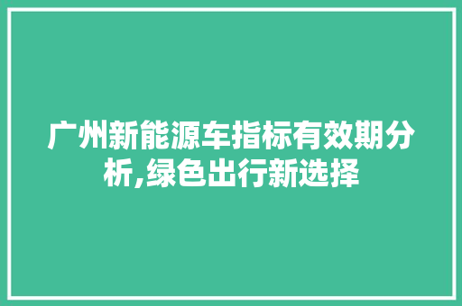 广州新能源车指标有效期分析,绿色出行新选择