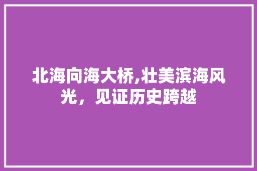 北海向海大桥,壮美滨海风光，见证历史跨越