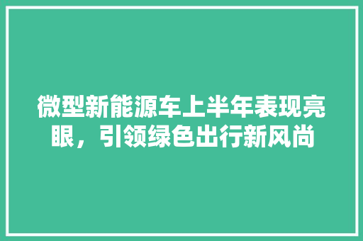 微型新能源车上半年表现亮眼，引领绿色出行新风尚