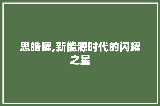 思皓曜,新能源时代的闪耀之星