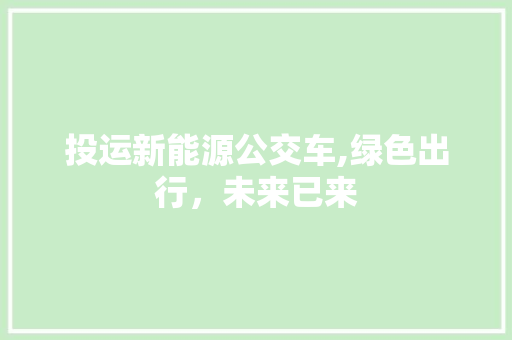 投运新能源公交车,绿色出行，未来已来