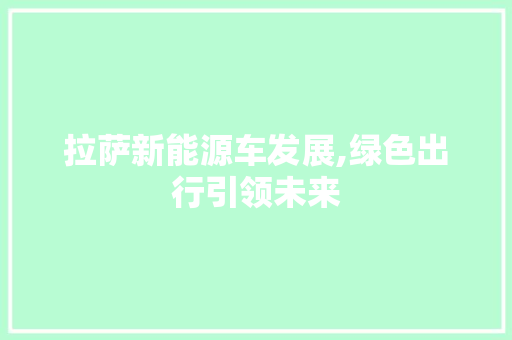 拉萨新能源车发展,绿色出行引领未来