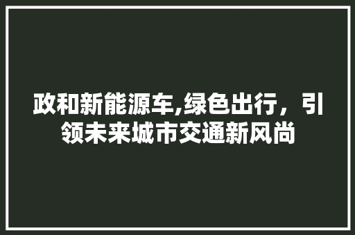 政和新能源车,绿色出行，引领未来城市交通新风尚