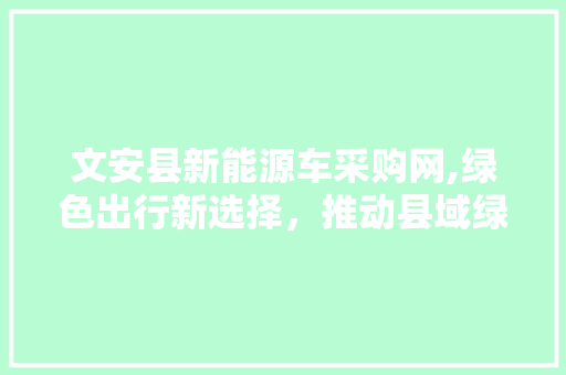文安县新能源车采购网,绿色出行新选择，推动县域绿色发展