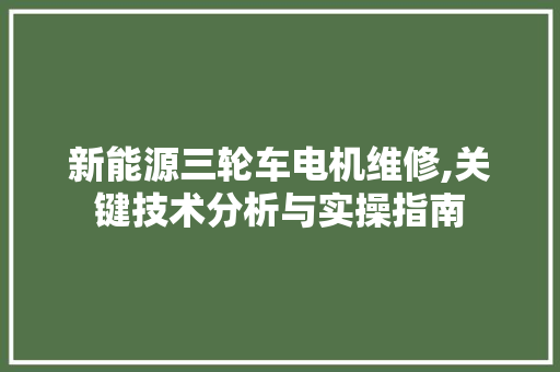 新能源三轮车电机维修,关键技术分析与实操指南