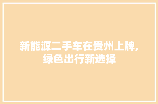 新能源二手车在贵州上牌,绿色出行新选择