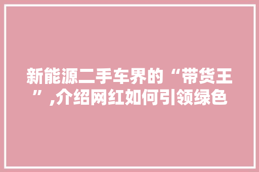 新能源二手车界的“带货王”,介绍网红如何引领绿色出行新潮流