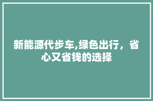新能源代步车,绿色出行，省心又省钱的选择