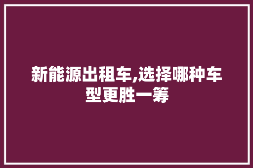 新能源出租车,选择哪种车型更胜一筹