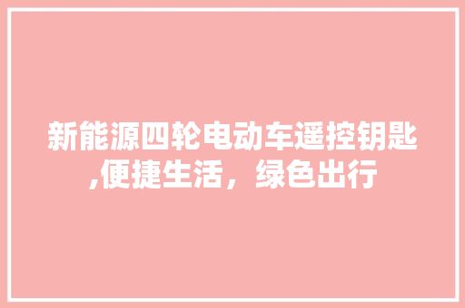 新能源四轮电动车遥控钥匙,便捷生活，绿色出行