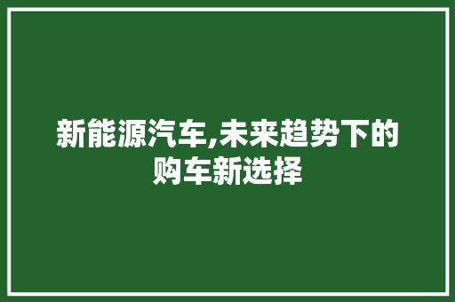 新能源汽车,未来趋势下的购车新选择  第1张