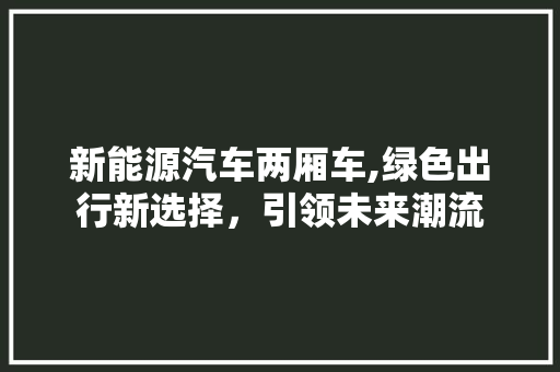 新能源汽车两厢车,绿色出行新选择，引领未来潮流