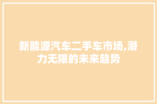 新能源汽车二手车市场,潜力无限的未来趋势