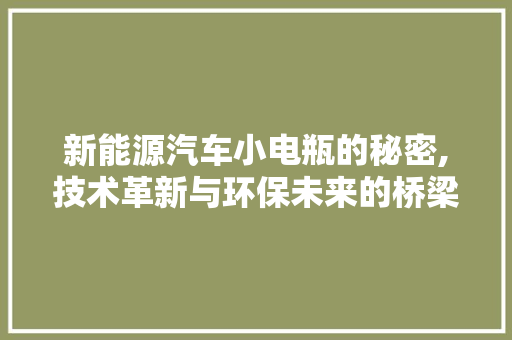 新能源汽车小电瓶的秘密,技术革新与环保未来的桥梁