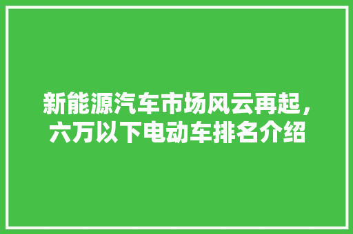 新能源汽车市场风云再起，六万以下电动车排名介绍