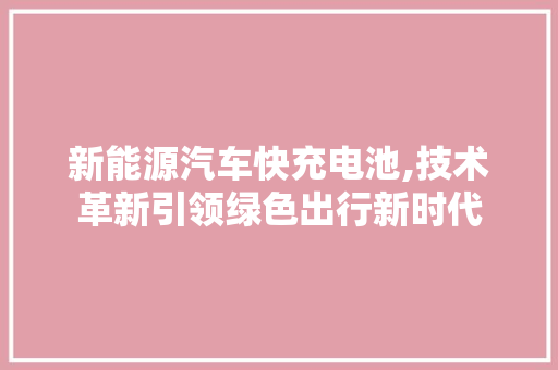 新能源汽车快充电池,技术革新引领绿色出行新时代  第1张