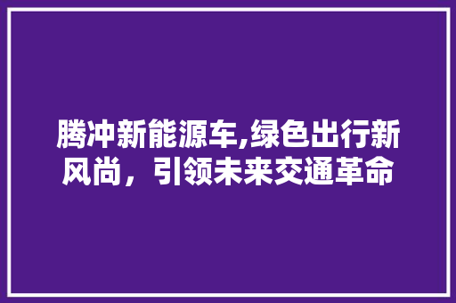 腾冲新能源车,绿色出行新风尚，引领未来交通革命