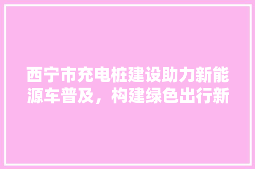 西宁市充电桩建设助力新能源车普及，构建绿色出行新生态  第1张